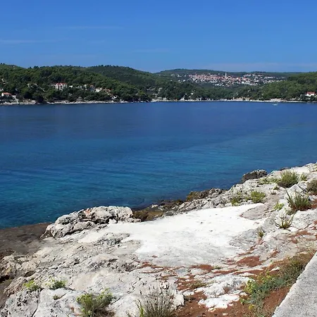 Seaside Luxury With A Swimming Pool Sumartin, Brac - 5639 Villa
